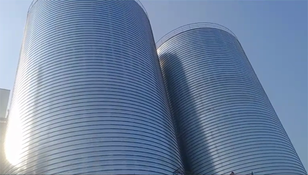 岳塘2座混凝土高架卷板仓